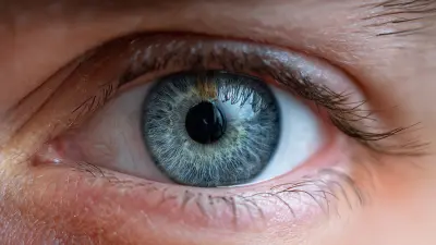 How to Choose the Best Optical Lens Cutter for Your Needs